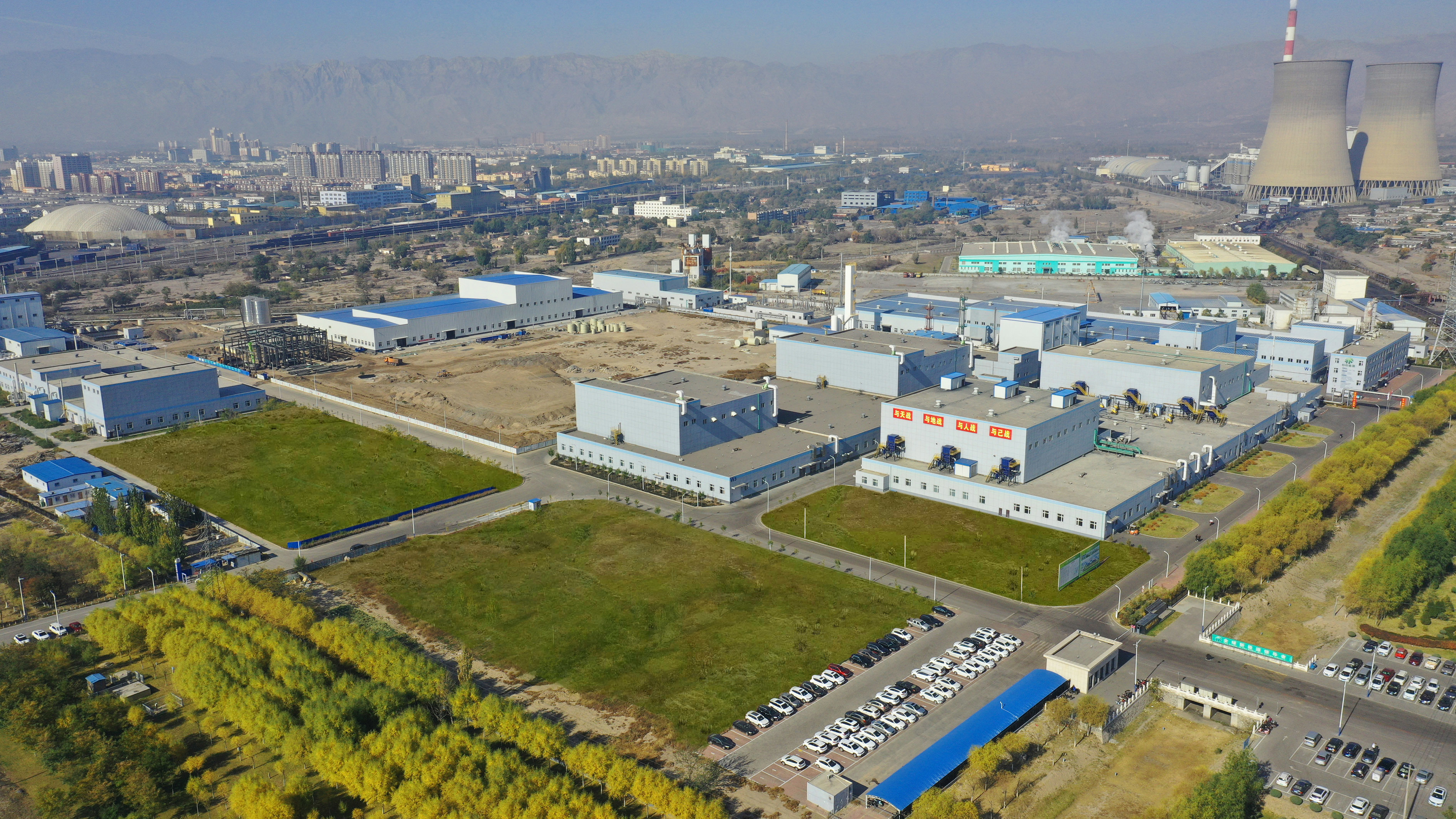 Catalytic Converter Cleaner Strenghen Power - China Catalytic